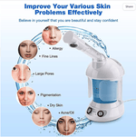 Load image into Gallery viewer, 2 In 1 Vapour Ozone Hair and Facial Steamer
